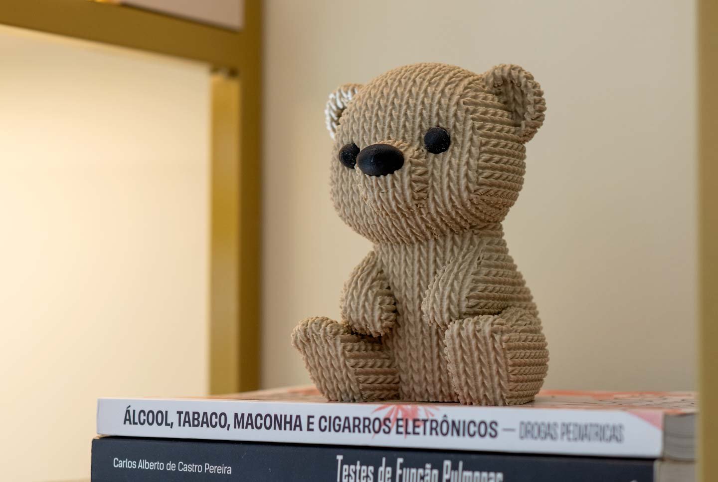 Ursinho de pelúcia sobre livros de pneumologia pediátrica, no consultório da Dra. Layla Matos
